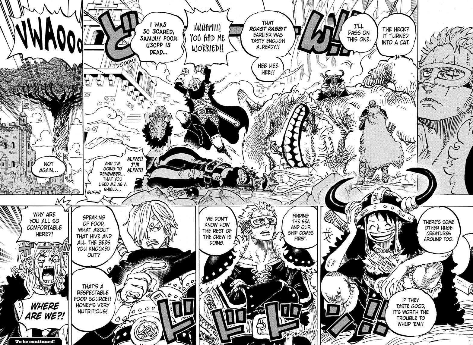 One Piece, Chapter 1127 image 13