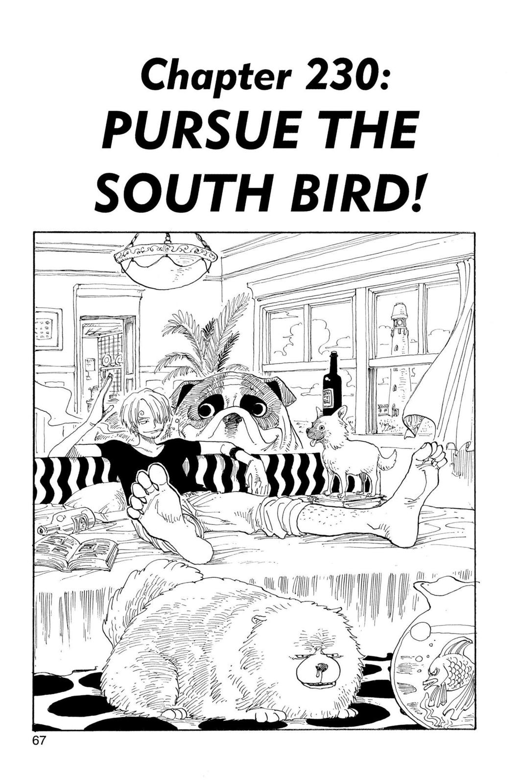 One Piece, Chapter 230 image 01