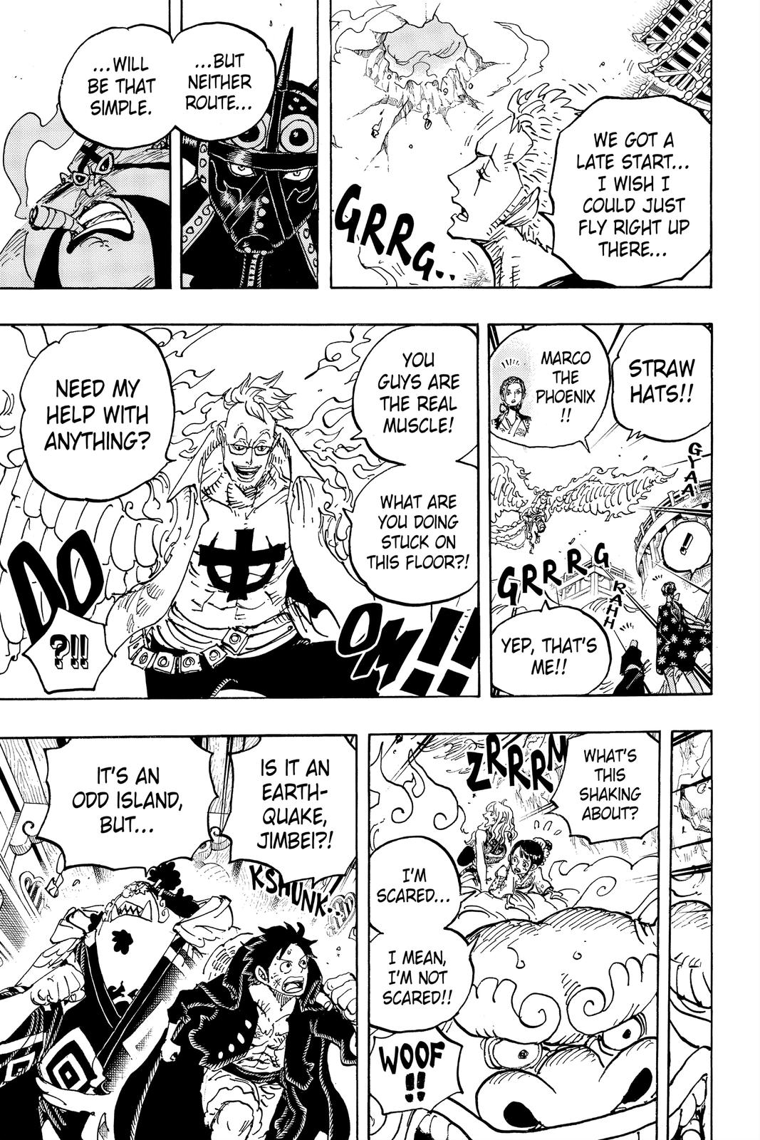 One Piece, Chapter 997 image 13