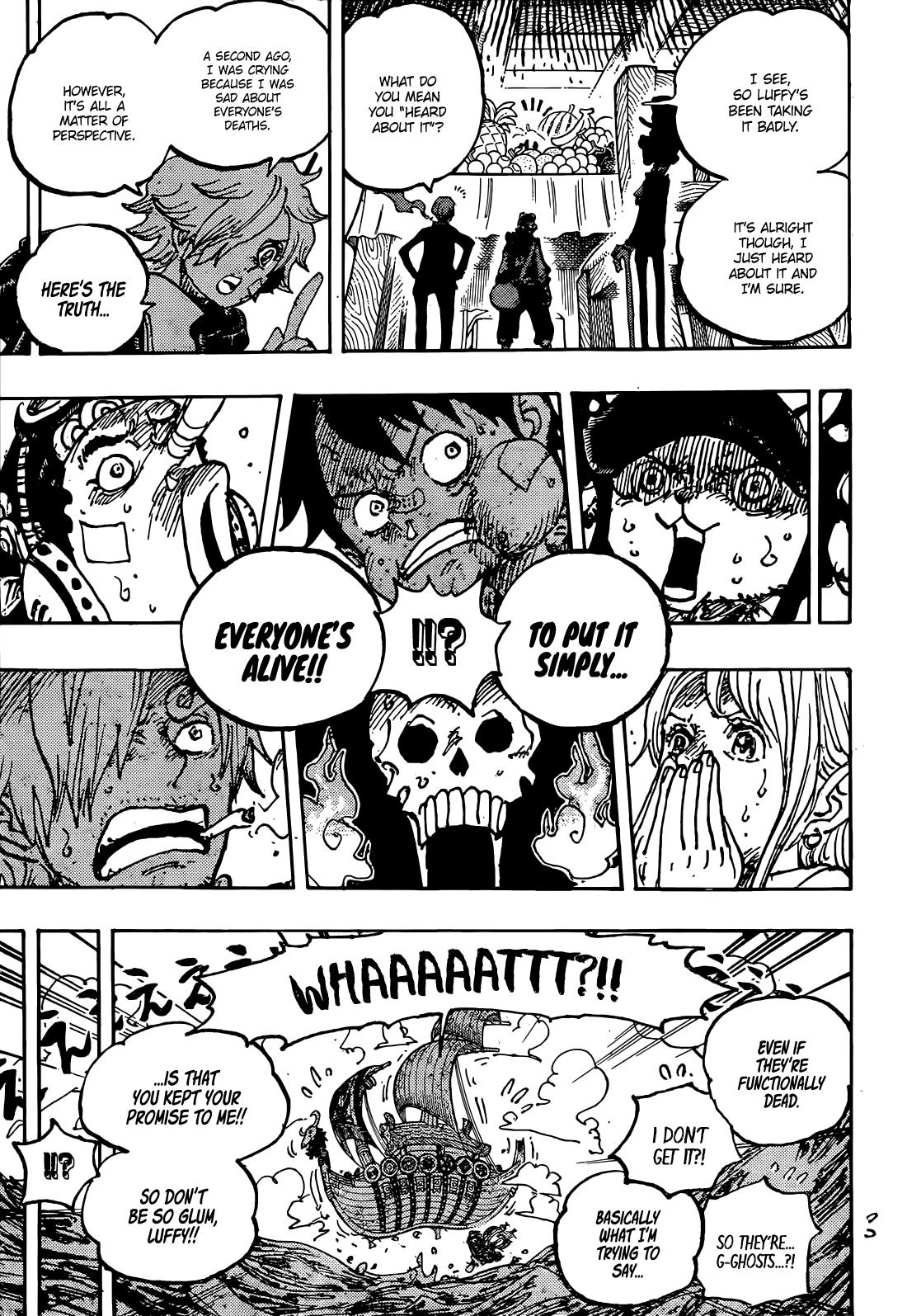 One Piece, Chapter 1124 image 11