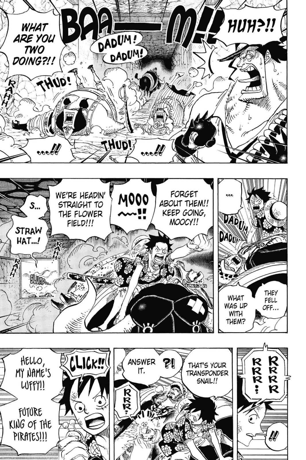 One Piece, Chapter 751 image 13