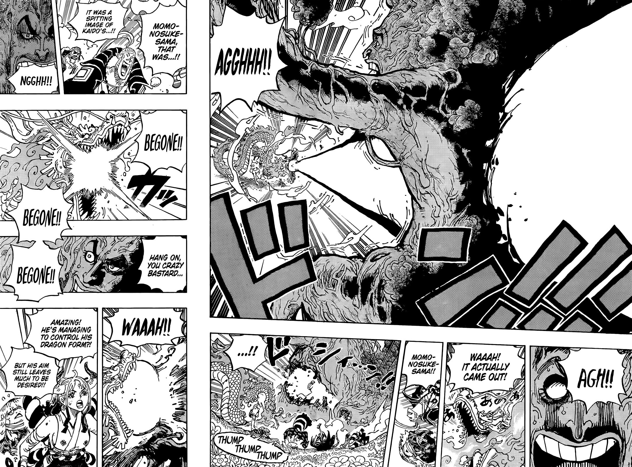 One Piece, Chapter 1055 image onepiecetcb_1055_015