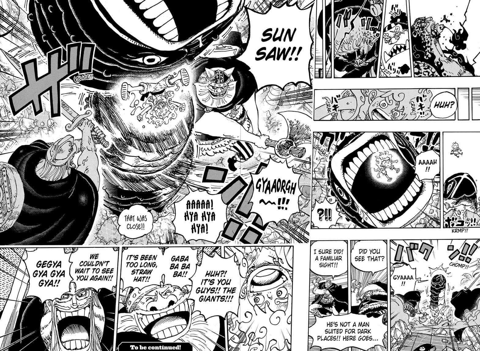 One Piece, Chapter 1110 image 12