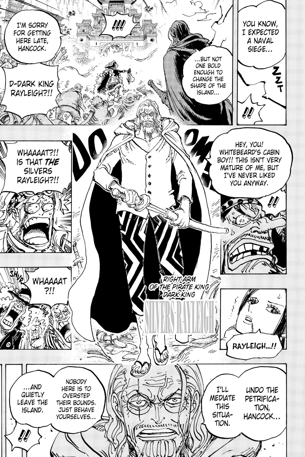 One Piece, Chapter 1059 image 14