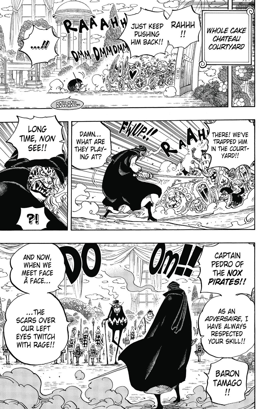 One Piece, Chapter 849 image 22